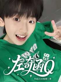 左奇函Q