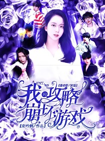 TNT：我的攻略崩坏游戏