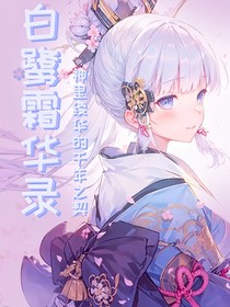 原神：白鹭霜华录