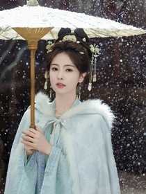朝雪录：辞枝