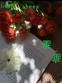 奇文：小羊乖乖