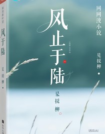 风止于陆