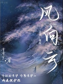 風向云