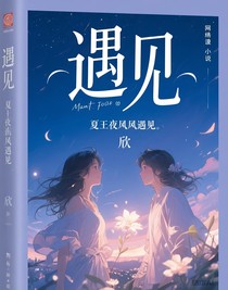 夏夜晚风遇见
