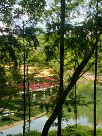 向日葵花語（望夕陽）