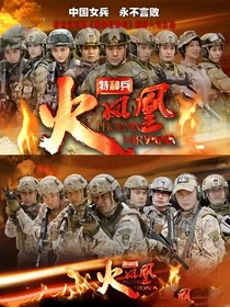特種兵之火鳳凰：執(zhí)手并進(jìn)