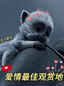 凡雪：遇貓