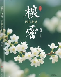 槐花的秘密