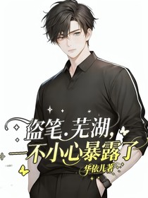 盗笔：芜湖，一不小心暴露了