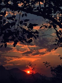 鹤白