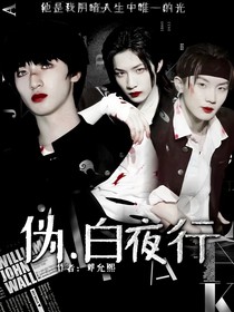 TNT：偽白夜行