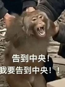 活了12年这个世界终于没救了