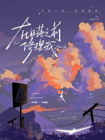 在日落之前修理我