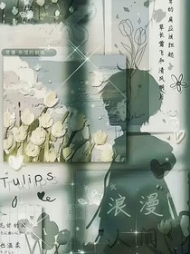 旧藤椅