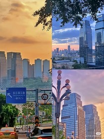 TF家族：那個(gè)夏天