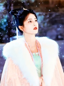 朝雪录：漫漫聆雪落