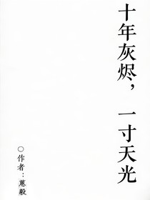 十年灰燼，一寸天光
