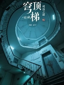 錯(cuò)梯—穹頂之謎