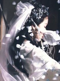 朝雪录：藏莺