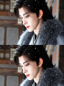 朝雪錄：曾是驚鴻照影來