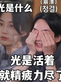SEVENTEEN：大哥合法持枪