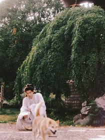 莲花楼：如花似玉