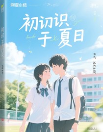 初識于夏季