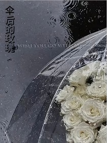 伞后的玫瑰花