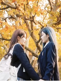 櫻花樹下（2025）