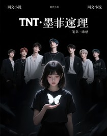 TNT：墨菲定律