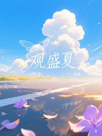 观盛夏