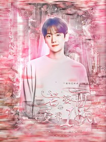 邊伯賢：重生之老婆再愛我一次