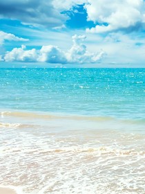 一抹浮萍