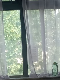 酸涩的夏被无限拉长