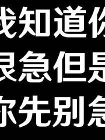 可存挡游戏