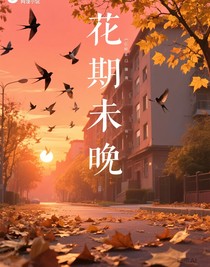 未写完的花期