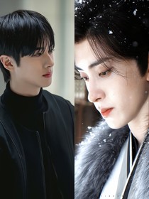 影视综：姐姐她又娇又软