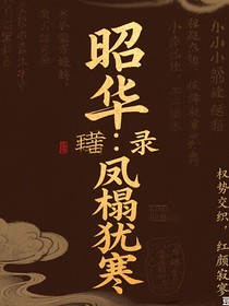 昭華錄：鳳榻猶寒