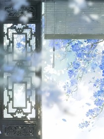 白燈花