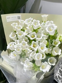 開(kāi)在盛夏的風(fēng)鈴花