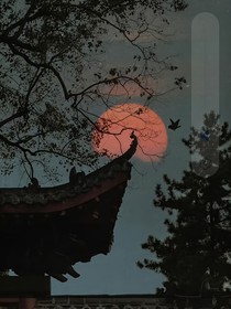 查九：年少的我们