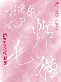 安城道