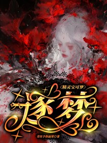精靈寶可夢：逐夢