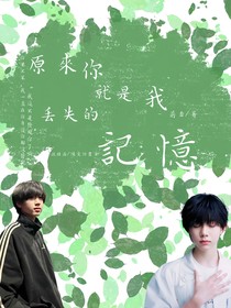 原来你就是我丢失的记忆