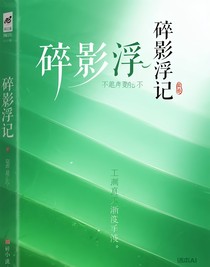 碎影浮记