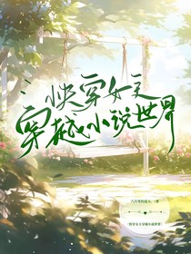 快穿：女主穿越小说世界