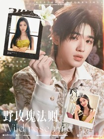 宋亚轩：野玫瑰法则
