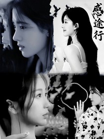 感途行