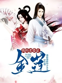 我的老婆是金蓮