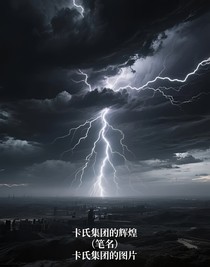 卡氏集团的辉煌